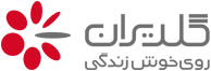 گلدیران (ISO9001,ISO14001,ISO10002,ISO10004,ISO10015,ISO1668,,ISO21500,ISO50001)